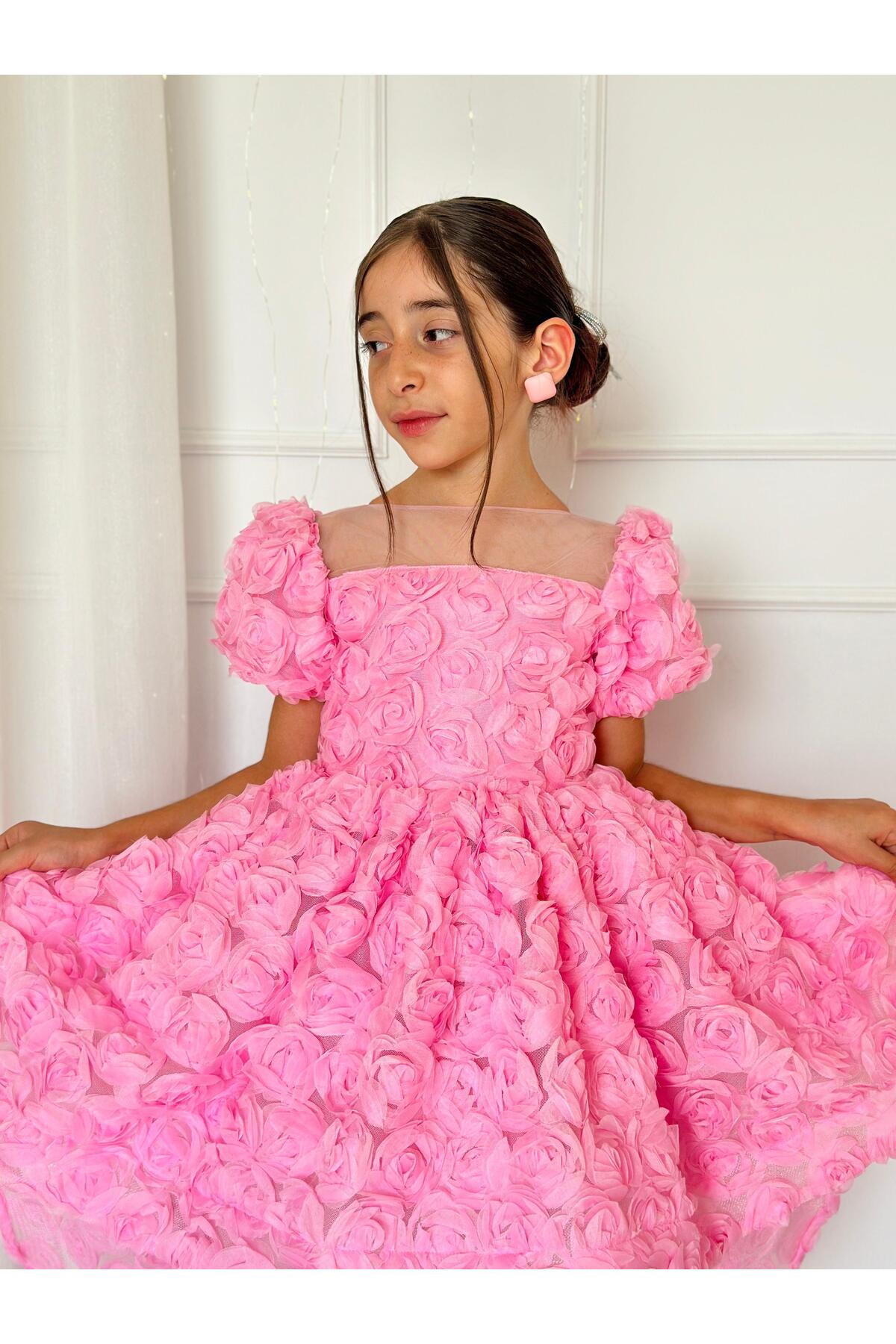 Pembe Güllü Diana Vintage Kız Bebek Elbise