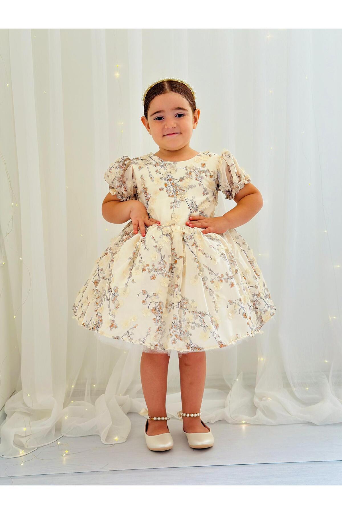 Hly Karol Krem Vintage Yılbaşı Kız Bebek Elbisesi 3